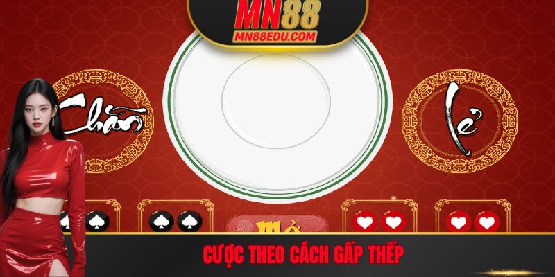 Cược theo cách gấp thếp